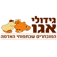 לוגו לקוח