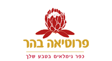 לוגו לקוח